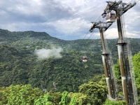 From Taipei, Pinglin Tea Culture and Maokong Guided Day Tour - Housity