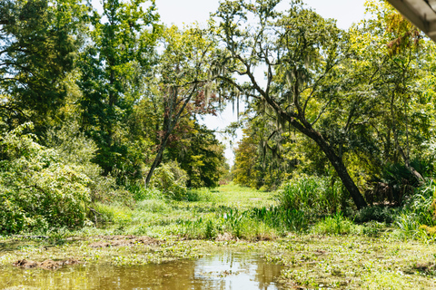 New Orleans: Bayou Tour in Jean Lafitte National Park