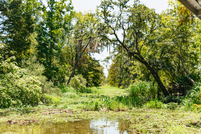 Nowy Orlean: Wycieczka po zatoce w Parku Narodowym Jean LafitteNowy Orlean: Bayou Tour w Parku Narodowym Jean Lafitte