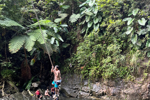 Excursion à El Yunque, rivière et toboggans aquatiques