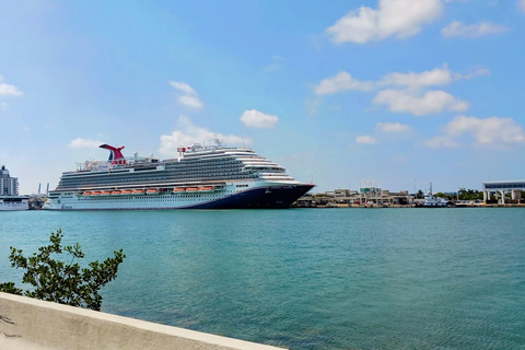 Miami Combo: Everglades Adventure and Sightseeing Tour Combo - Downtown Miami pickup