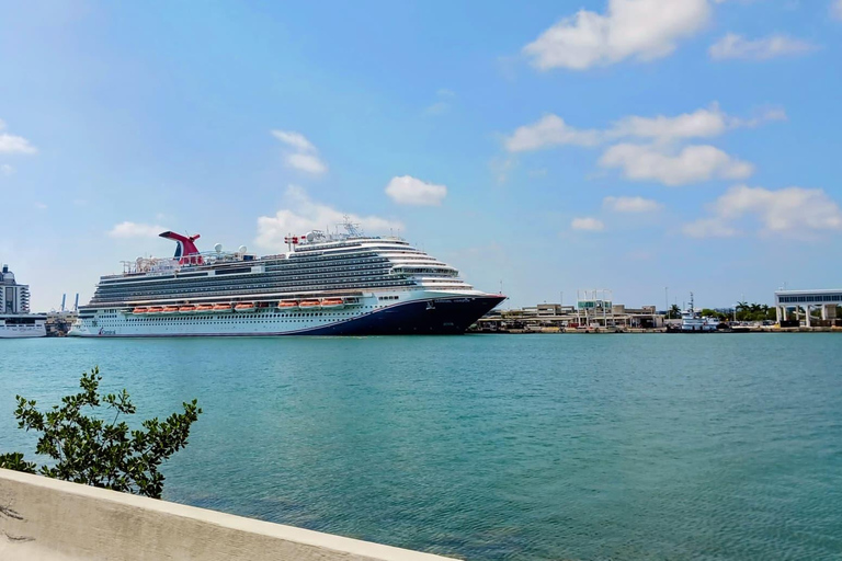 Miami Combo: Everglades Adventure and Sightseeing Tour Combo - Downtown Miami pickup
