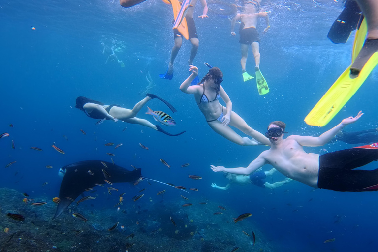 Nusa Penida: Snorkeling Adventure 3-Spots with Manta Rays Nusa Penida: Snorkeling Manta Point 3-Spots with Manta Rays