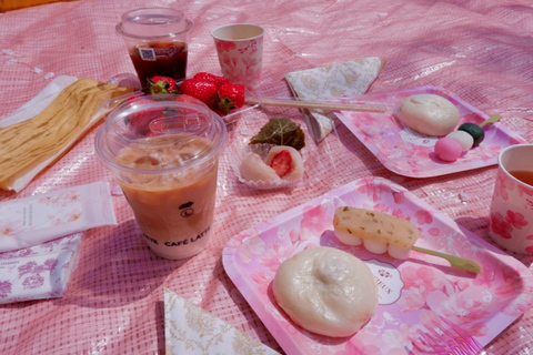 Osaka: Daytime Hanami (Cherry Blossom) and Food Tour