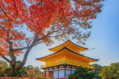 Kyoto & Nara: Exclusive Full-Day Private Tour with Pickup