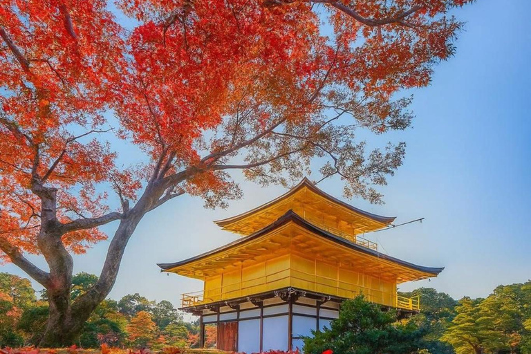 Kyoto & Nara: Exclusive Full-Day Private Tour with Pickup