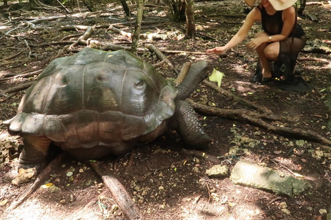 Ciudad de piedra y prisión Isla