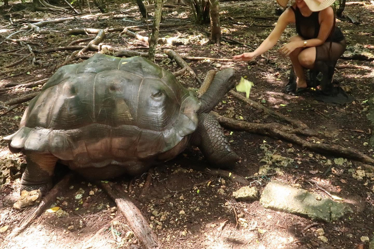 Ciudad de piedra y prisión Isla