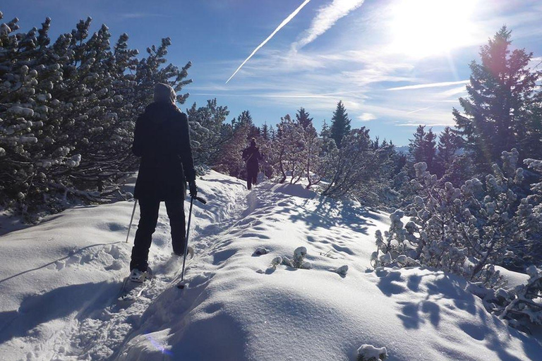 Avalanche training with snowshoe hike in Berchtesgaden LVS training with snowshoe hike in Berchtesgaden