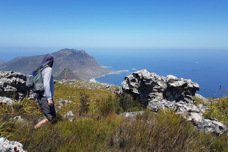 Cape Town: the Mountain, the Garden and the Vineyard