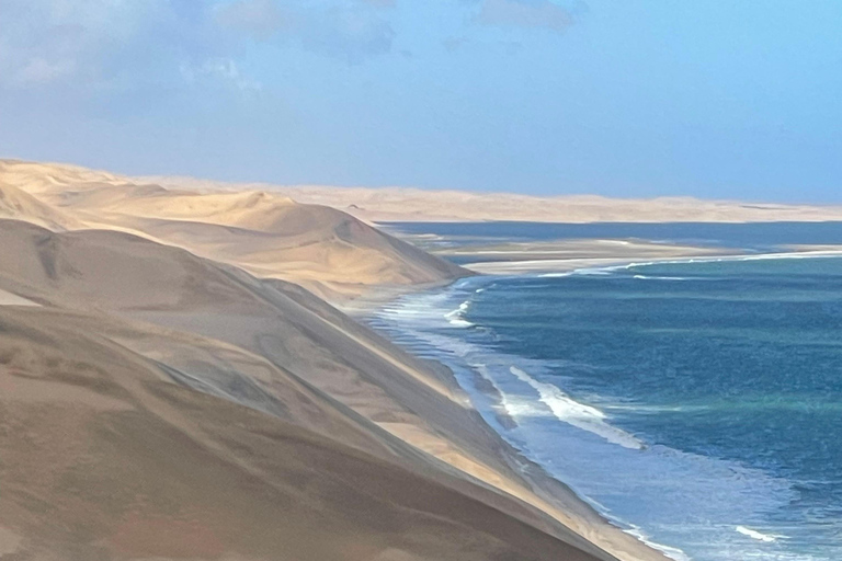 Walvis Bay : Croisière en catamaran et visite du port de Sandwich