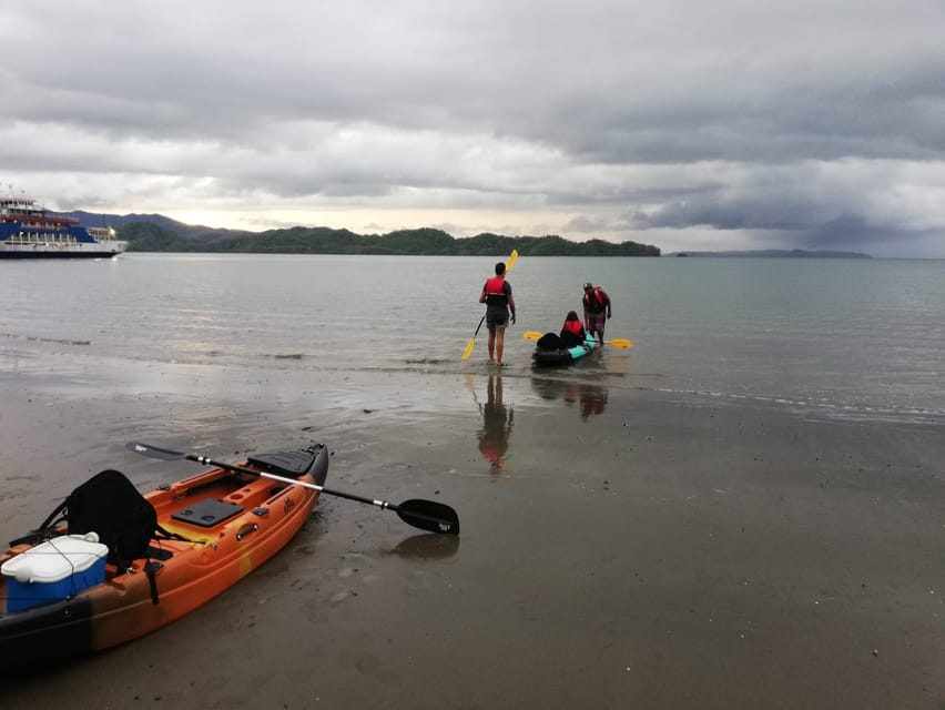 Paquera，2小时的生物发光皮划艇之旅 - Housity
