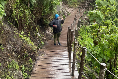 Tsitsikamma Day Trip with Optional Activities