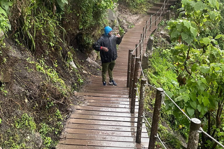 Tsitsikamma Day Trip with Optional Activities