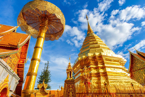 Chiang Mai - Doi Suthep Tempel &amp; Wat Pha Lat Wandeling