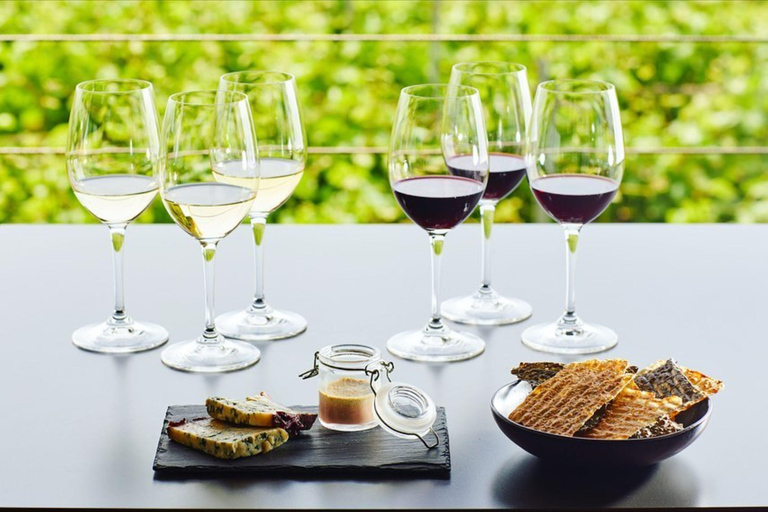 Epanomi Wine Escape: Fine Wines, Vineyards & Wine Museum