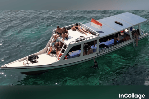 Gili eiland : Groep/Share Snorkeltour 3 gili eilandenGroep/Share Snorkeltour per Glazen Bodem Boot