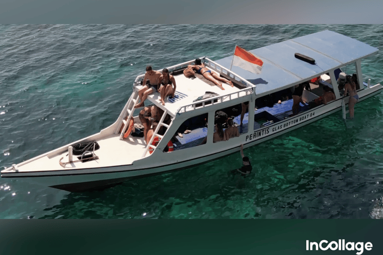 Gili eiland : Groep/Share Snorkeltour 3 gili eilandenGroep/Share Snorkeltour per Glazen Bodem Boot