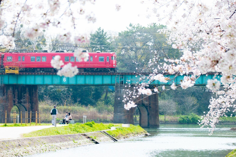 1/2 Day Tour from Nagoya: Inuyama Castle & Tea (small group) English Tour