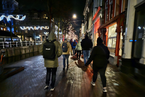 Delft: Immergiti nell&#039;età dell&#039;oro con una guida locale privataTour a piedi in inglese