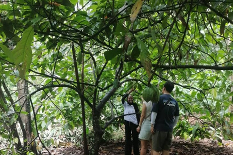 Sansibar: Bio-Gewürzfarm Tour mit traditionellem MittagessenHoteltransfer überall auf Sansibar