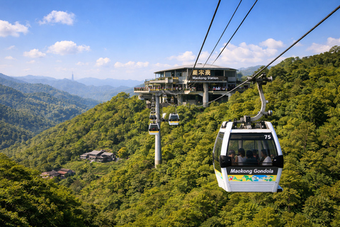 Taipei: Riverside Bike Ride with Optional Tea and Hike Greater Taipei: Riverside Bike Ride and Danshui Old Street