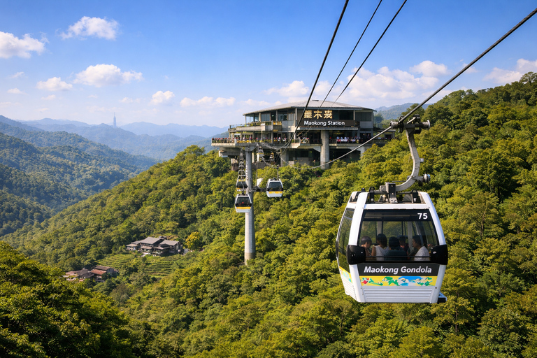 Taipei: Riverside Bike Ride with Optional Tea and Hike Greater Taipei: Riverside Bike Ride and Danshui Old Street