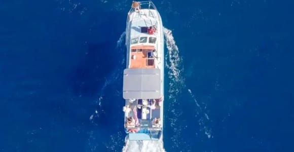 Haleiwa: North Shore Whale Watching Tour by Fast Catamaran