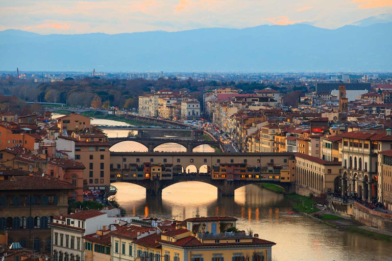 Private Pisa, Florence and Chianti Wine Tasting from Livorno