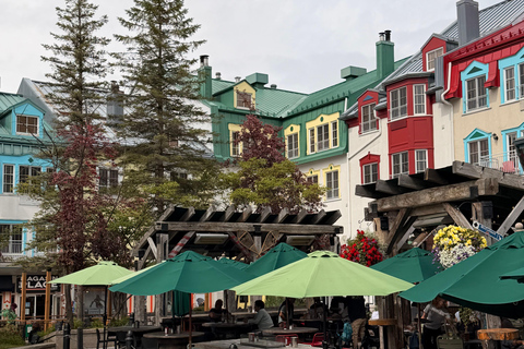 Mont-Tremblant: Private Day Trip with Treetop Walk & Gondola