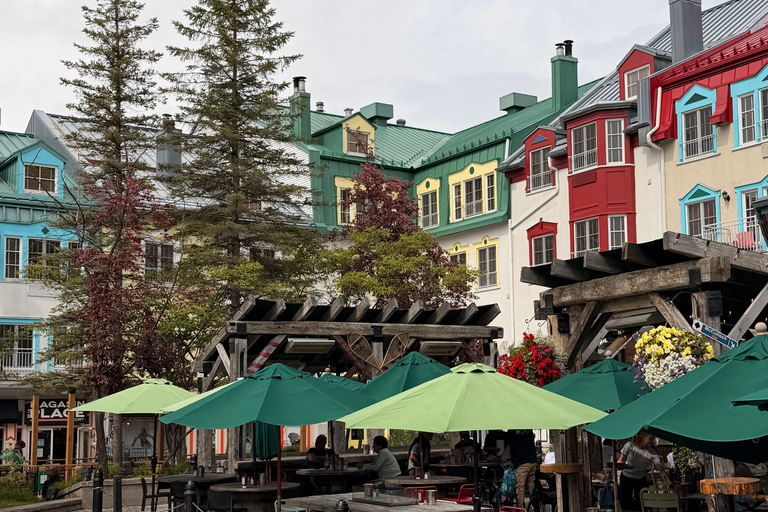 Mont-Tremblant: Private Day Trip with Treetop Walk & Gondola