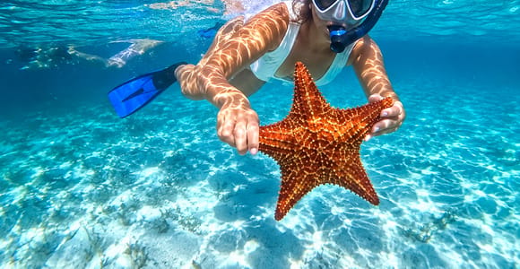 Punta Cana: Saona Island, local culture & snorkeling