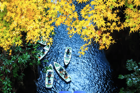 From Fukuoka: Miyazaki, Takachiho Gorge and Shrines Day Tour