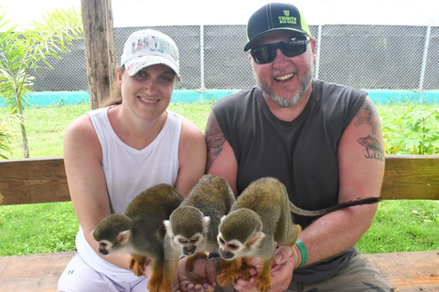 Puerto Plata: Exclusive Monkey Tour for Cruise Passengers