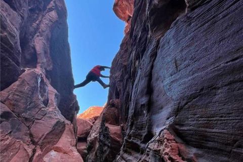 Las Vegas: Tour guidato della Valle del Fuoco in spagnolo