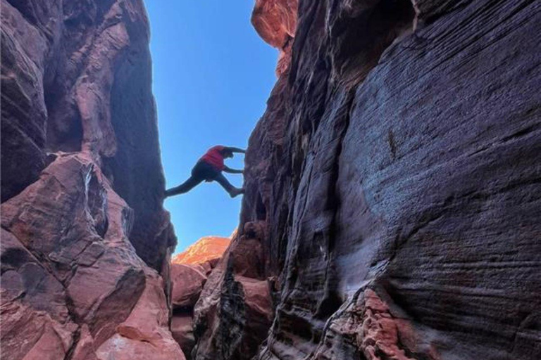 Las Vegas: Tour guidato della Valle del Fuoco in spagnolo