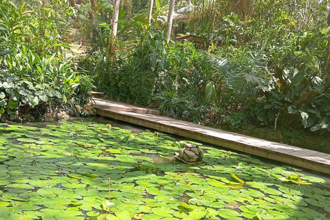 Fiji: Nadi Culture & Wellness Tour with Mud Pools & Garden Nadi Culture & Wellness Tour - Pick Up InterContinental