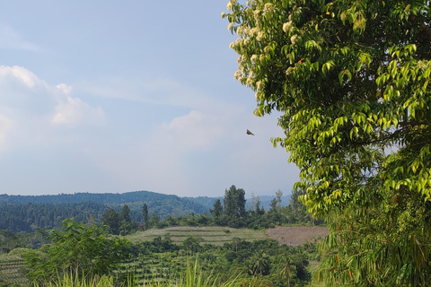 De Jakarta à Bogor : Excursion d&#039;une journée à la cascade de Luhur et au lac Lido