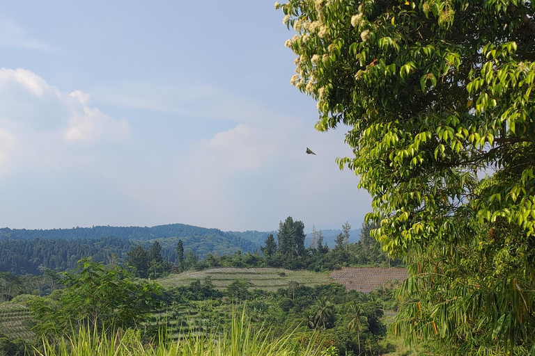 Jacarta a Bogor: Cachoeira Luhur e Lago Lido - Passeio de um dia