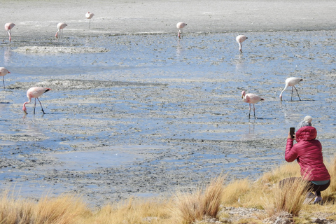 City of La Paz | 4-Day Uyuni Expedition to San Pedro Atacama Tour with Spanish-speaking driver