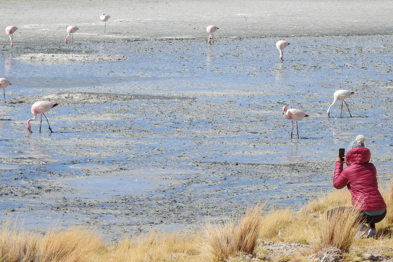 City of La Paz | 4-Day Uyuni Expedition to San Pedro Atacama Tour with Spanish-speaking driver