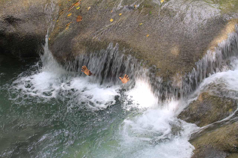 Promenade sur la rivière des chutes de Mayfield avec transport privéDepuis Negril