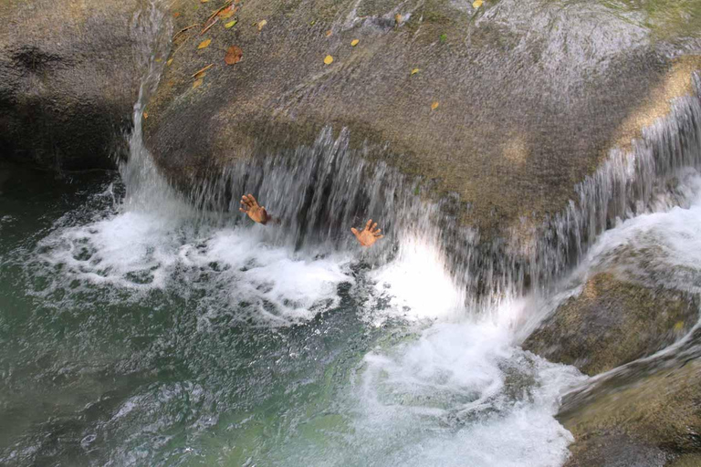 Passeggiata lungo il fiume di Mayfield Falls con trasporto privatoDa Negril