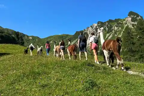 Triesenberg: Spaziergang mit einem Lama in den schönen Bergen