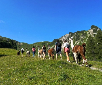 Triesenberg: Spaziergang mit einem Lama in den schönen Bergen