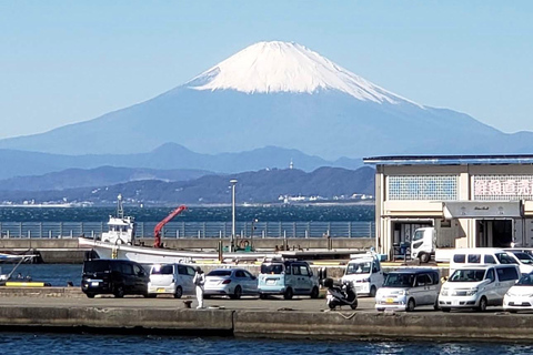 Tokyo: Kamakura & Enoshima Private Guided Day Trip