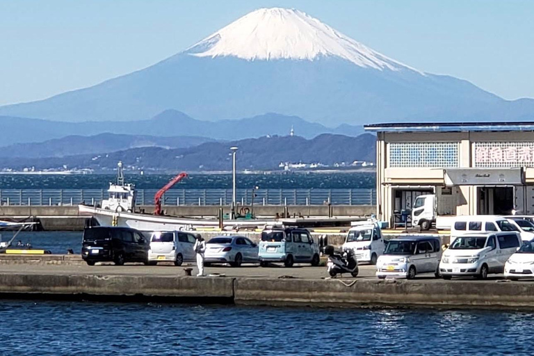Tokyo: Kamakura & Enoshima Private Guided Day Trip