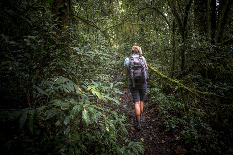 Circuit de 2 jours au Sri Lanka : 3 parcs nationaux étonnants + safari fluvial