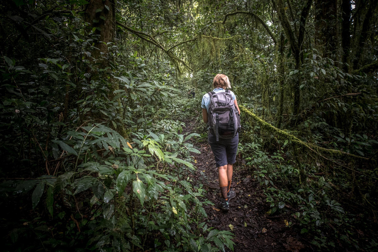 Tour di 2 giorni in Sri Lanka: 3 incredibili parchi nazionali + safari sui fiumi