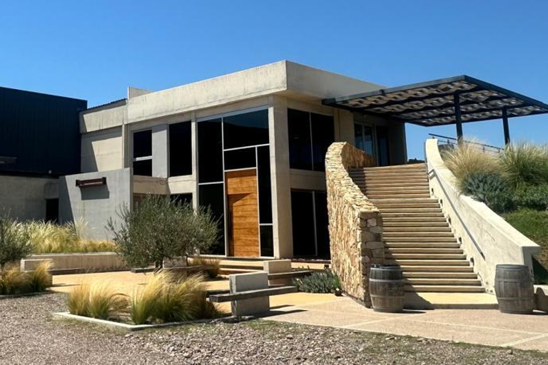 Mendoza in a day, guided tour, olive grove, winery, mountain, San Martin park